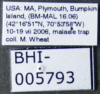 Media type: image;   Entomology 613162 Aspect: labels